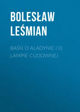 Bolesław Leśmian Baśń o Aladynie i o lampie cudownej обложка книги