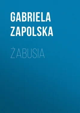 Gabriela Zapolska Żabusia обложка книги