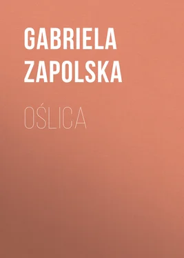 Gabriela Zapolska Oślica обложка книги