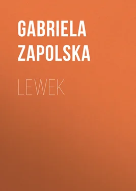 Gabriela Zapolska Lewek обложка книги