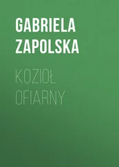 Gabriela Zapolska - Kozioł ofiarny