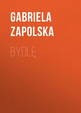 Gabriela Zapolska Bydlę обложка книги