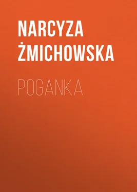 Narcyza Żmichowska Poganka обложка книги