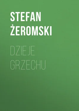 Stefan Żeromski Dzieje grzechu обложка книги