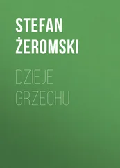 Stefan Żeromski - Dzieje grzechu