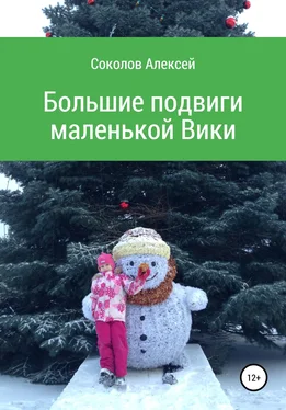 Алексей Соколов Большие подвиги маленькой Вики обложка книги