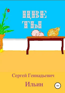 Сергей Ильин Цветы обложка книги