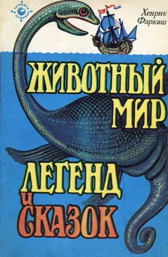 Хенрик Фаркаш Фаркаш Животный мир легенд и сказок обложка книги