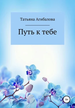 Татьяна Агибалова Путь к тебе обложка книги