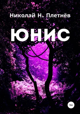 Николай Плетнёв Юнис обложка книги