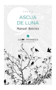 Manuel Benítez Ascua de Luna обложка книги