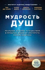 Джоан Селински - Мудрость душ. Реальные истории путешествий в прошлые жизни от Института Майкла Ньютона