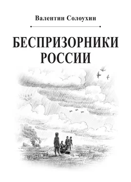 Валентин Солоухин Беспризорники России обложка книги