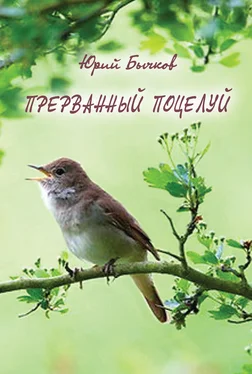 Юрий Бычков Прерванный поцелуй обложка книги