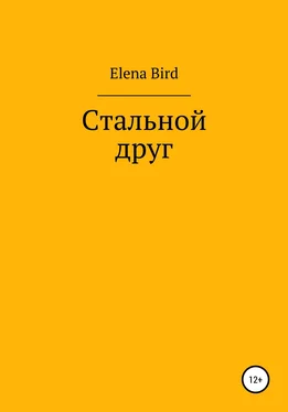 Elena Bird Стальной друг обложка книги