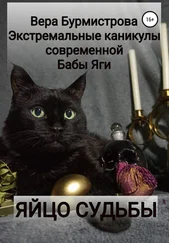 Вера Бурмистрова - ЯЙЦО СУДЬБЫ. Экстремальные каникулы современной Бабы Яги