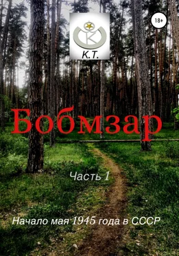 К. Т. БОБМЗАР обложка книги