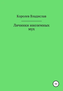 Владислав Королев Личинки иноземных мух обложка книги