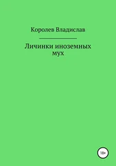 Владислав Королев - Личинки иноземных мух