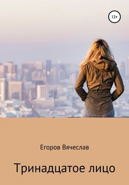 Вячеслав Егоров Тринадцатое лицо обложка книги