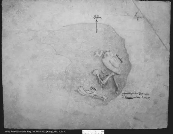 Рис 3 Эскиз конского захоронения найденного И Хейдеком 21 июня 1879 г - фото 3