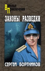 Сергей Бортников - Законы разведки