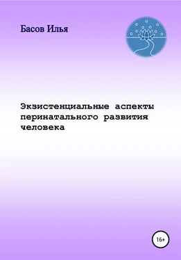 Илья Басов Экзистенциальные аспекты перинатального развития человека обложка книги