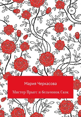 Мария Черкасова Мистер Прыгс и бельчонок Скок обложка книги