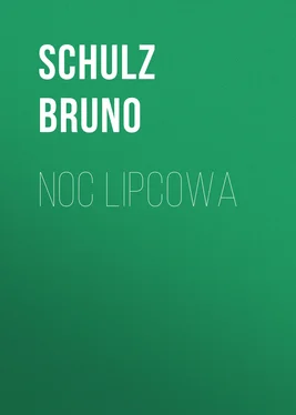 Schulz Bruno Noc lipcowa обложка книги