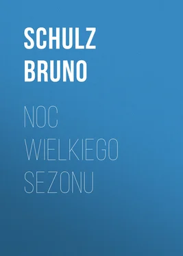 Schulz Bruno Noc wielkiego sezonu обложка книги