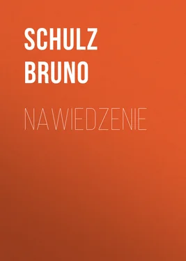 Schulz Bruno Nawiedzenie обложка книги