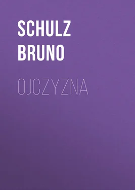 Schulz Bruno Ojczyzna обложка книги