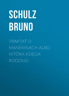 Schulz Bruno Traktat o Manekinach albo wtóra księga rodzaju обложка книги
