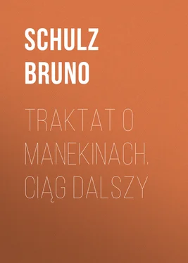 Schulz Bruno Traktat o Manekinach. Ciąg dalszy обложка книги