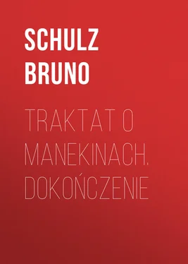 Schulz Bruno Traktat o Manekinach. Dokończenie обложка книги