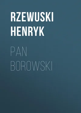 Rzewuski Henryk Pan Borowski обложка книги