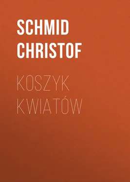 Schmid Christof Koszyk kwiatów обложка книги