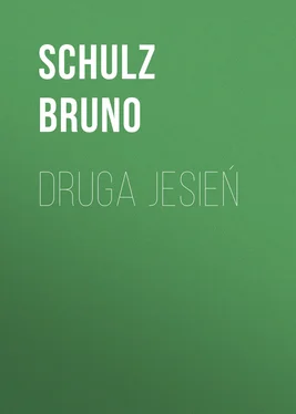 Schulz Bruno Druga jesień обложка книги