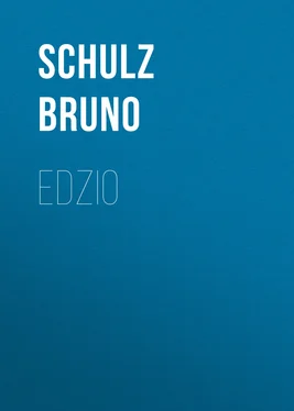 Schulz Bruno Edzio обложка книги