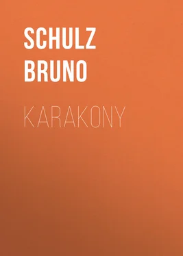 Schulz Bruno Karakony обложка книги