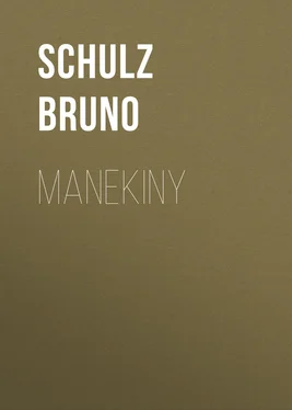 Schulz Bruno Manekiny обложка книги