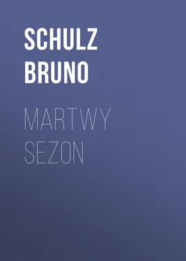 Schulz Bruno Martwy sezon обложка книги