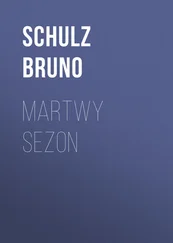 Schulz Bruno - Martwy sezon