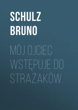 Schulz Bruno Mój ojciec wstępuje do strażaków обложка книги