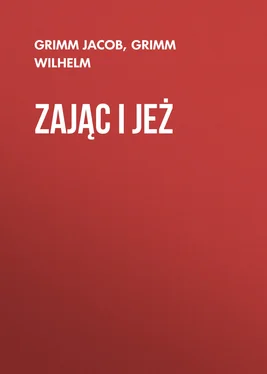 Grimm Jacob Zając i jeż обложка книги