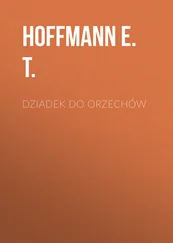 Hoffmann E. - Dziadek do orzechów