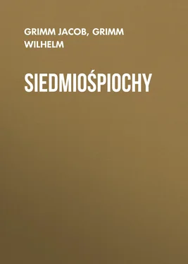 Grimm Jacob Siedmiośpiochy обложка книги