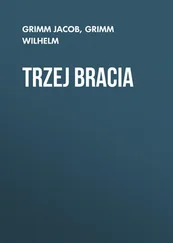 Grimm Jacob - Trzej bracia