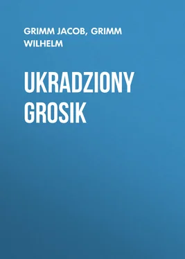 Grimm Jacob Ukradziony grosik обложка книги