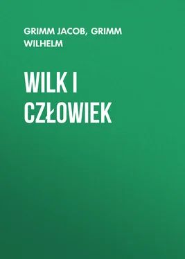 Grimm Wilhelm Wilk i człowiek обложка книги